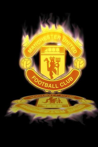 总结费尔南 总结费尔南